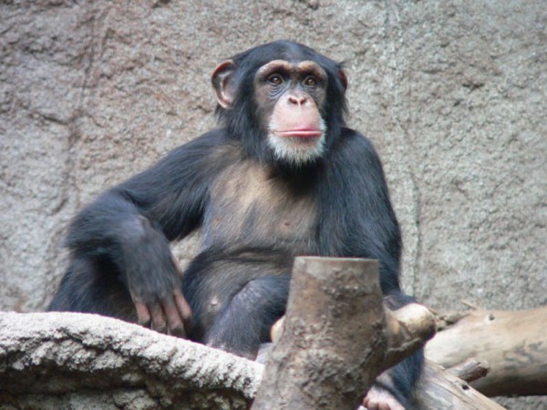 bb6be5dc9fc7688a7ac35d3a1e04eab2_1646902887_8046.jpg
